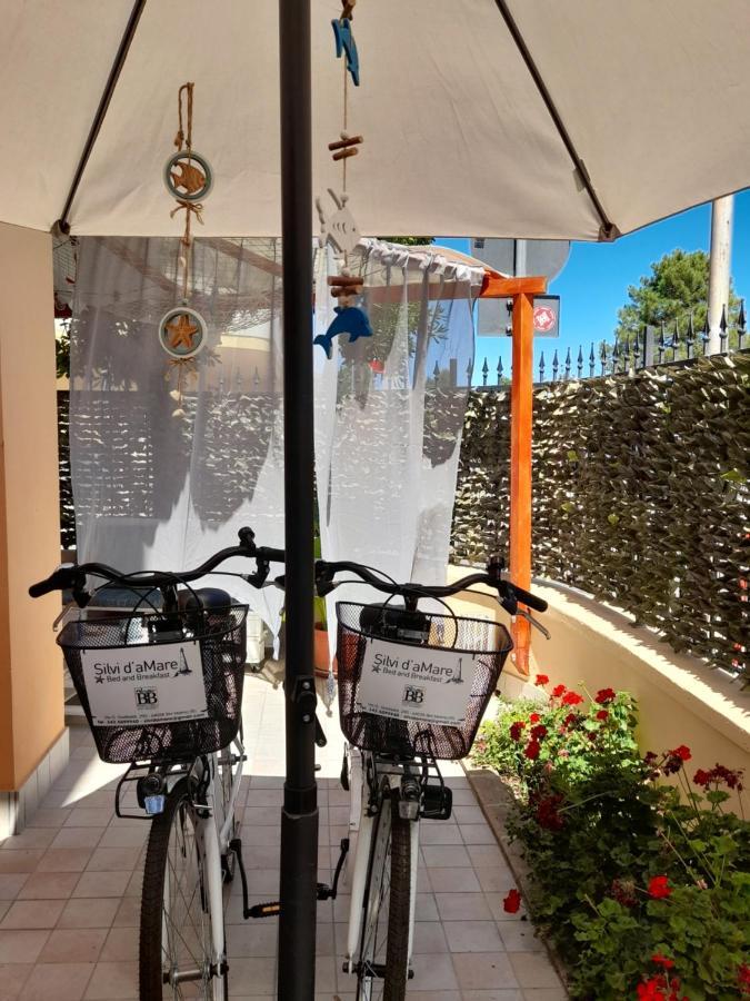 Silvi D'Amare Bed & Breakfast Silvi Marina Exterior photo